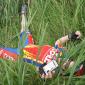 Elf, exhausted, takes a nap in the grass